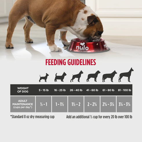 Nulo FreeStyle Grain Free Dry Dog Food -  Salmon & Peas - 4.5lb Bag